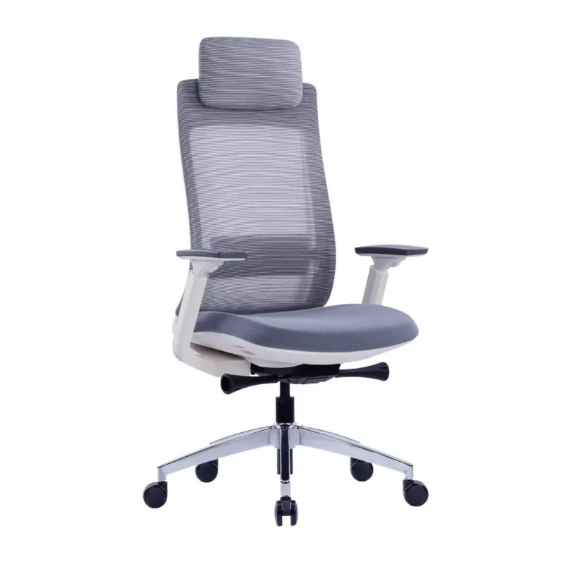 Rio Ergonomic Chair