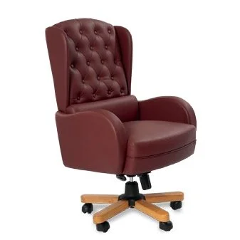 Modern and Luxury High back office chair