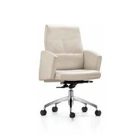 Modern and Luxury High back office chair
